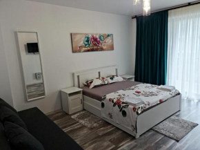 APARTAMENT SPLEND'OR No7 ALBA IULIA